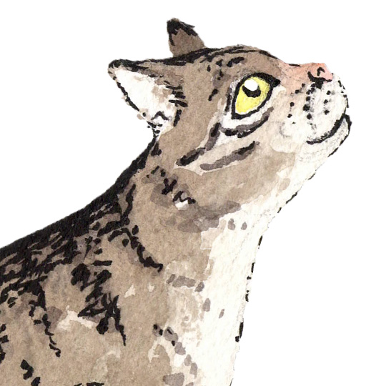 Painting of brown and black tabby in profile, looking up and to the right